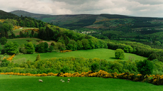 Ireland Landscape - newgrange, celtic, celt, celtic tours, mythology, earth mysteries, celtic gods, celtic goddesses, sacred wells, 
standing stones, celtic teachings, celtic concepts, ancient sites, sacred sites, galway, connemara, killarney, tours, celtic tours, knowth, tara, dingle, burren